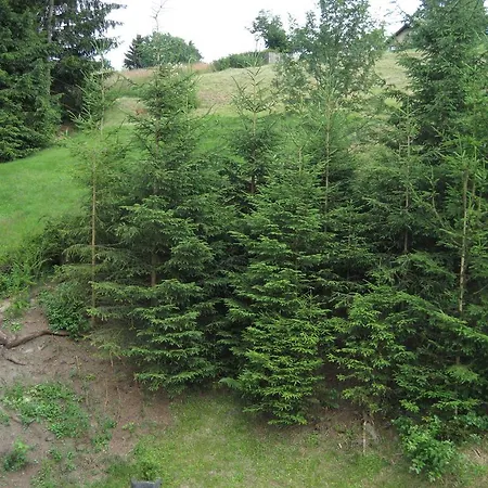 Apartment R & W Schulz *