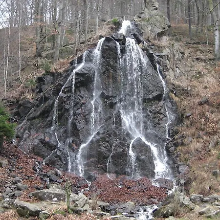 R & W Schulz Apartment *